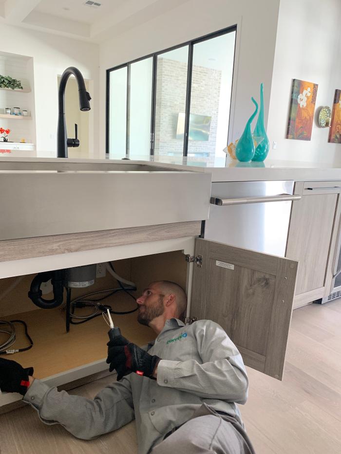 Termio Pest Control Image