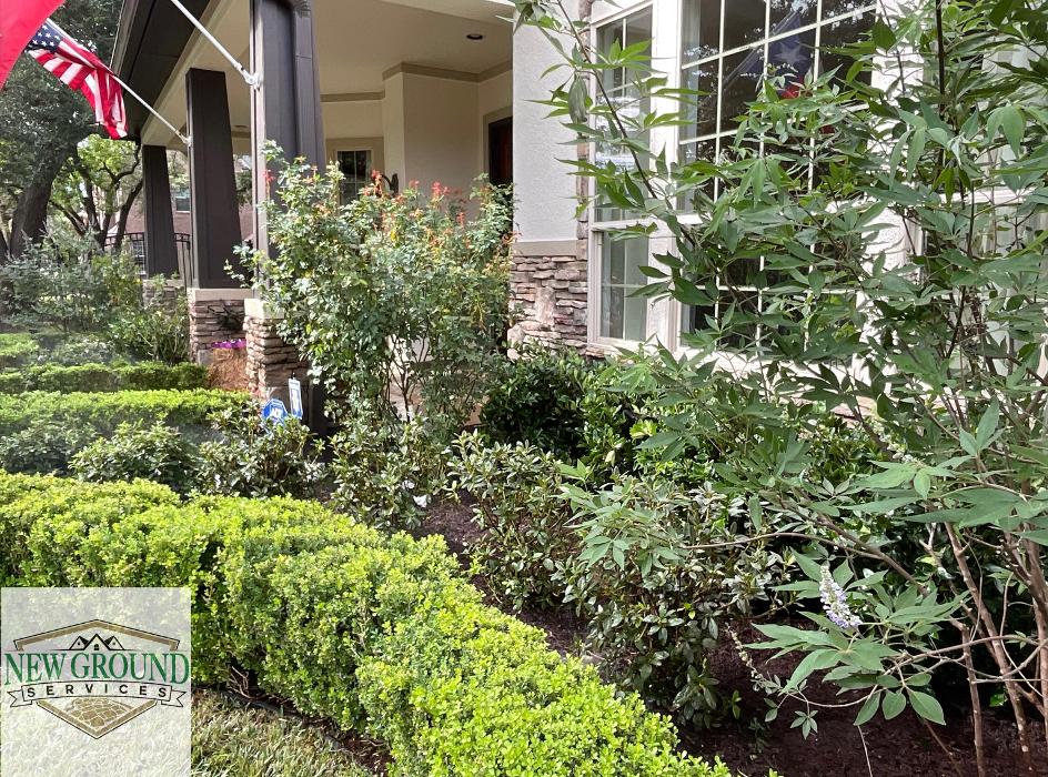 New Ground Services LLC Image