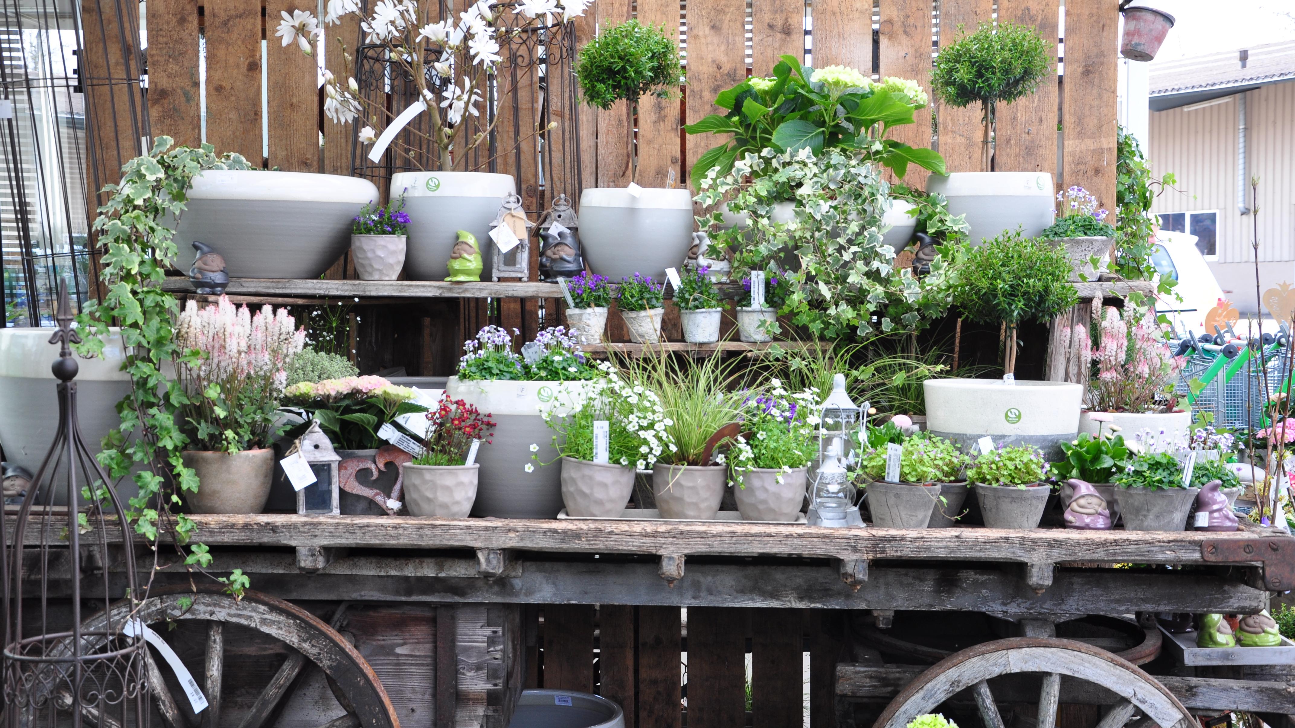 Lehmann Baumschulen AG, Jurastrasse in Büren an der Aare