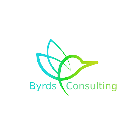 Byrds Consulting informatique (logiciel et progiciel)