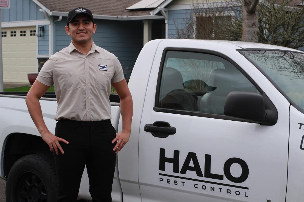Halo Pest Control Logo