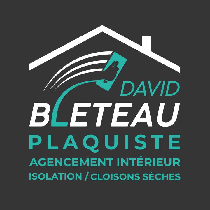 Bleteau David Plaquiste Expert