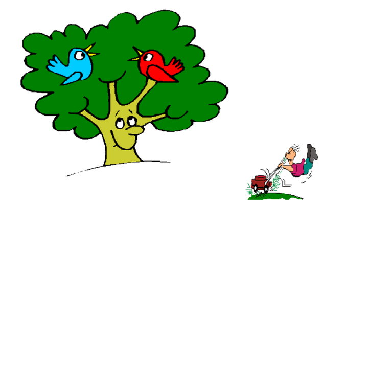 Caron JT paysagiste conseil