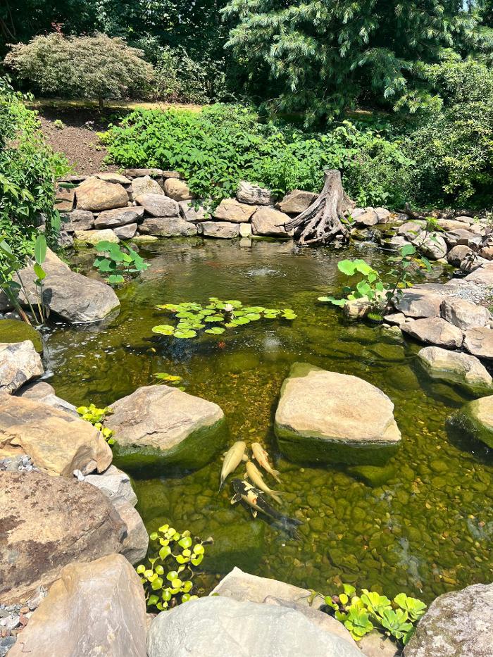 Songbird Ponds Image