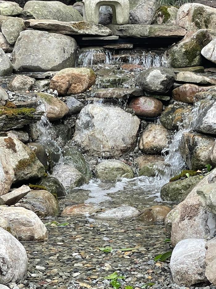 Songbird Ponds Image