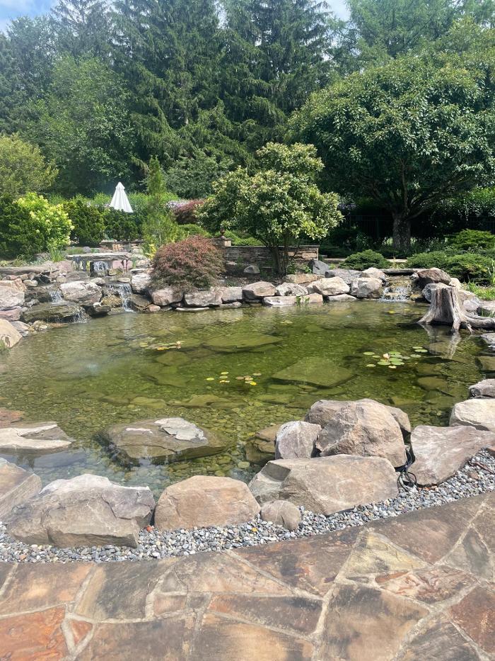 Songbird Ponds Image