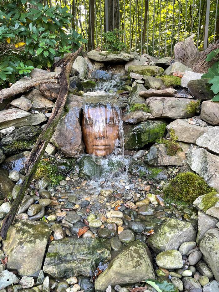 Songbird Ponds Image