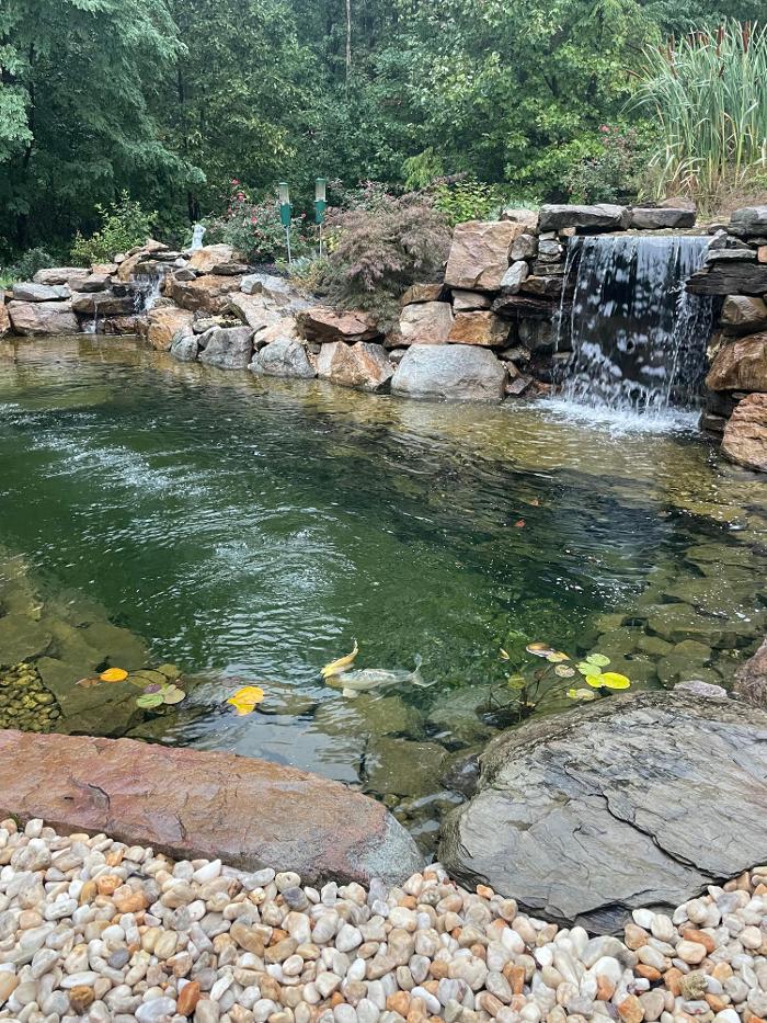 Songbird Ponds Image