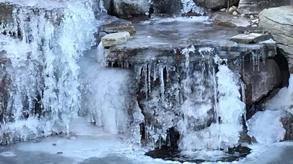 Songbird Ponds Image