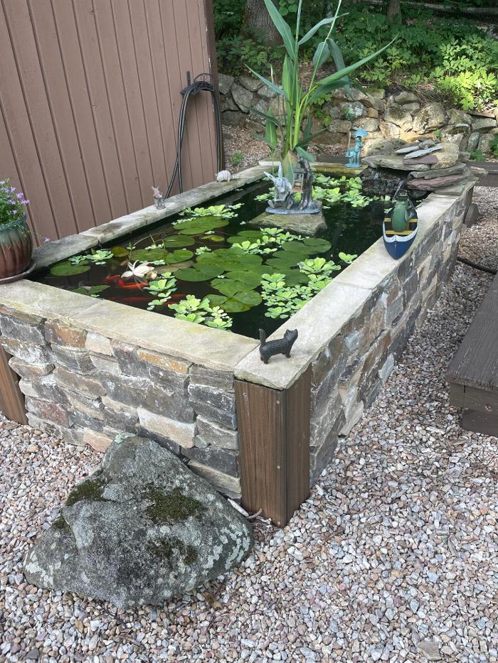 Songbird Ponds Image