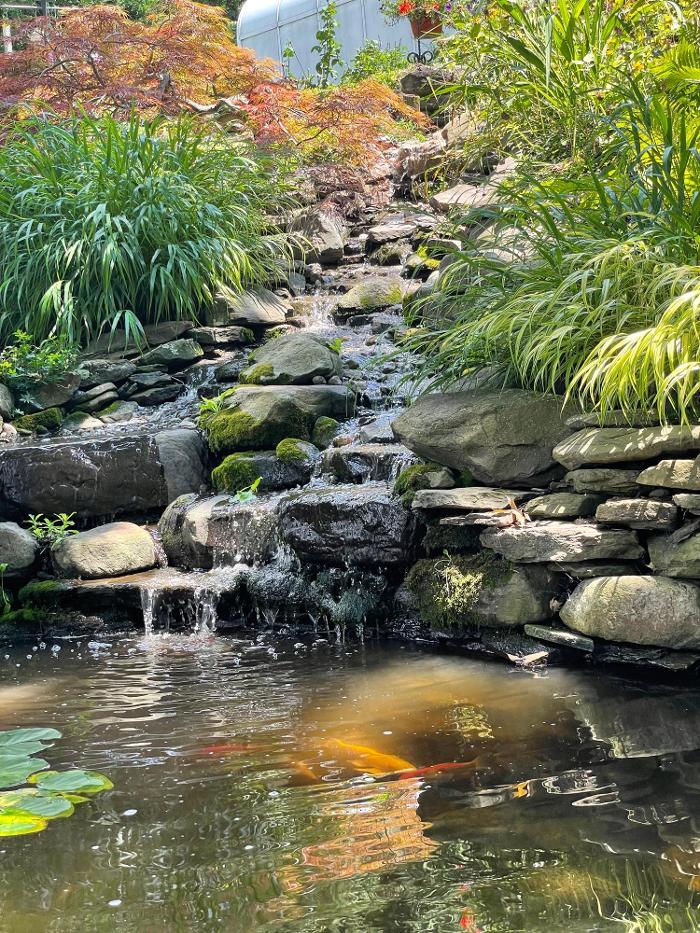 Songbird Ponds Image