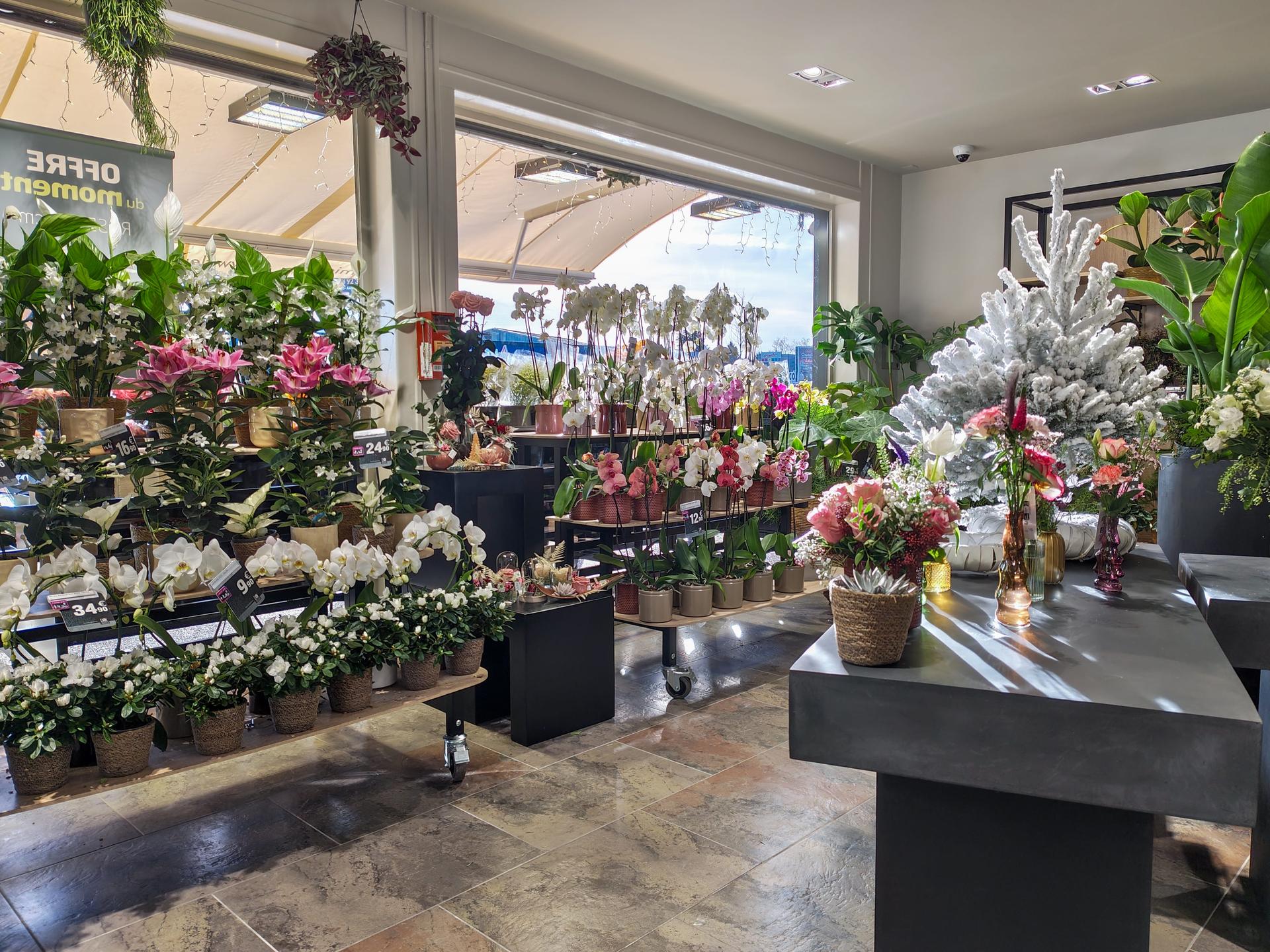 galerie image galerie image