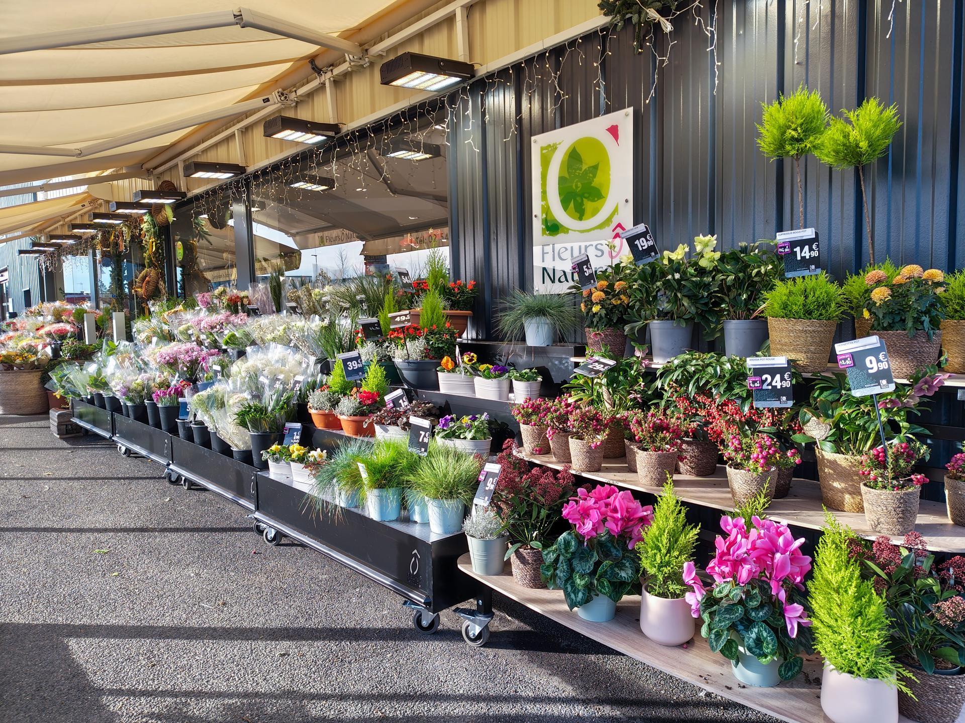 galerie image galerie image