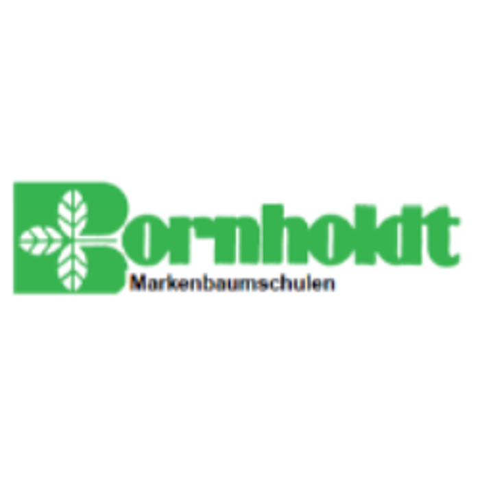 Bornholdt in Lübeck