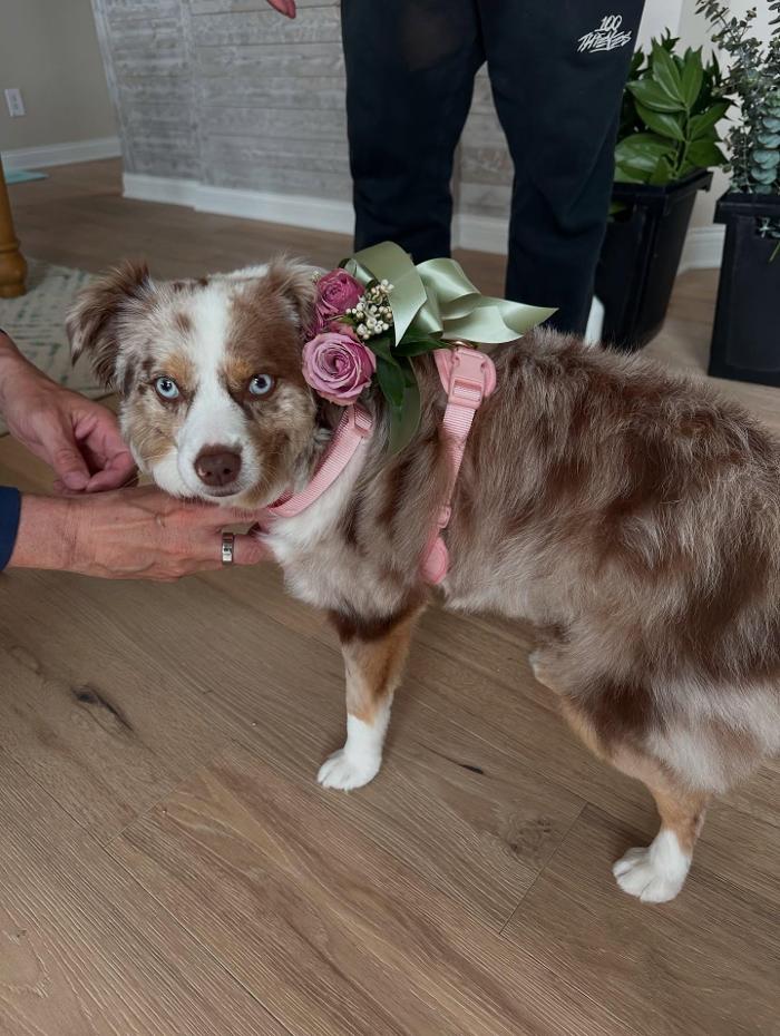 Brownsburg Flower Shop Image