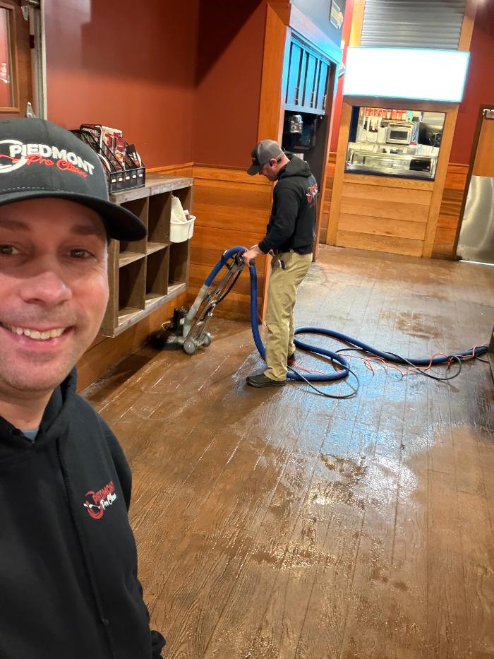 Piedmont Pro Clean Logo