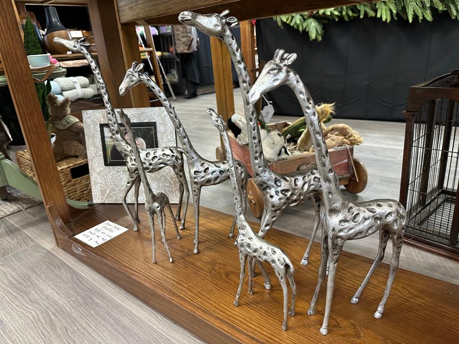 Wild Horses Gallery Gift & Decor Image