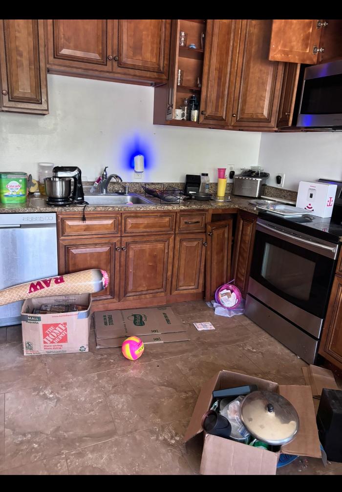 The Junk Squad Image