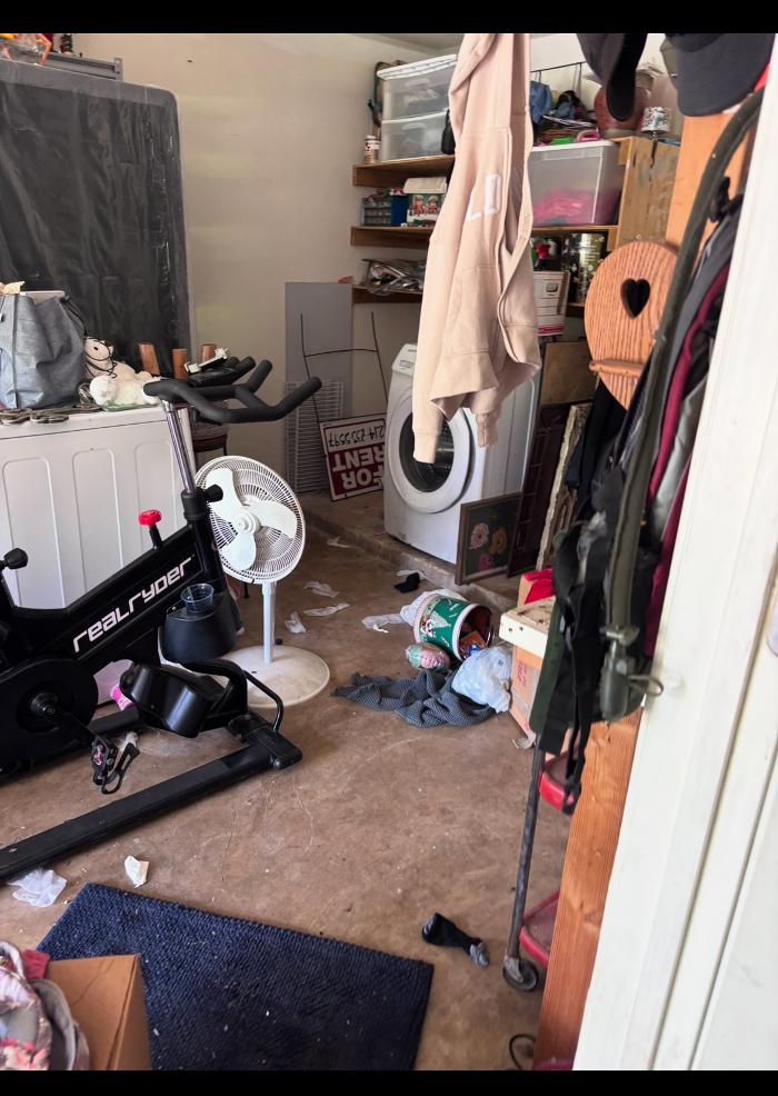 The Junk Squad Image