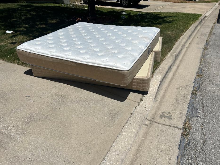 The Junk Squad Image