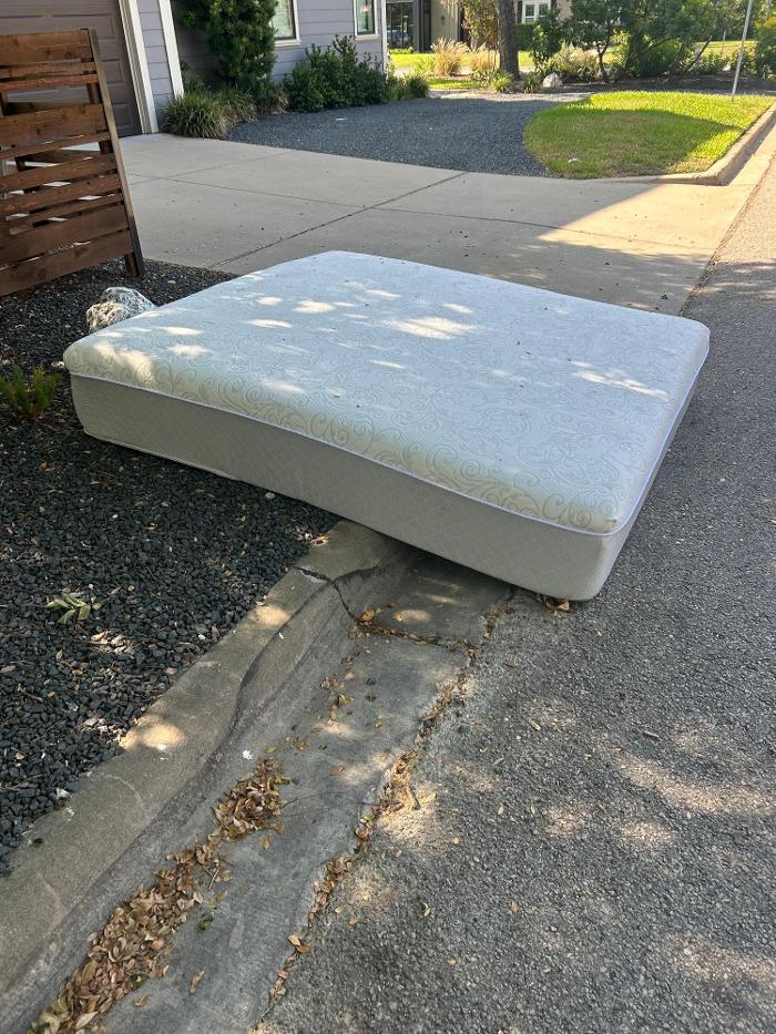 The Junk Squad Image