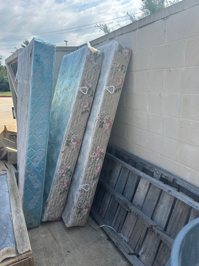 The Junk Squad Image