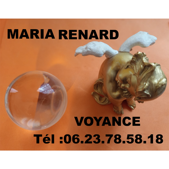 Renard Maria das Graças