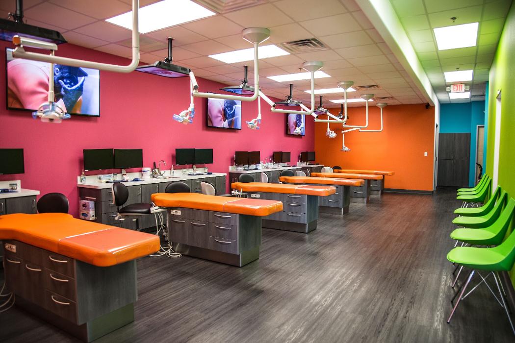 Texas Tiny Teeth Pediatric Dentistry & Orthodontics Greenville Image