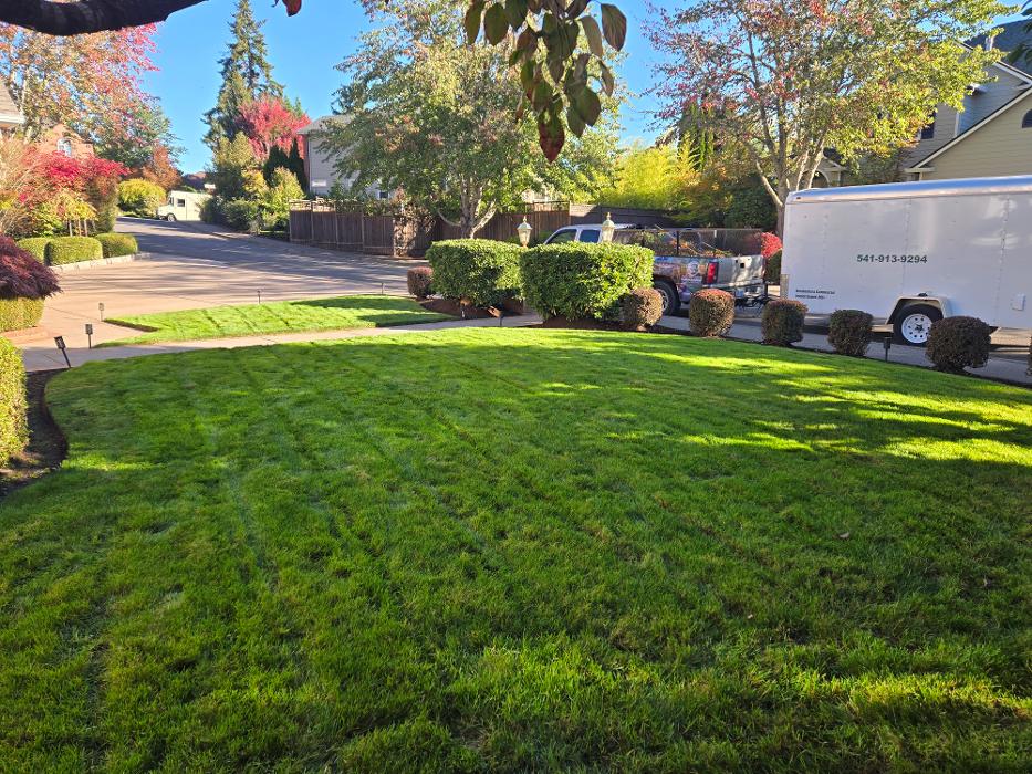 Pro time Hardscapes and construction Logo