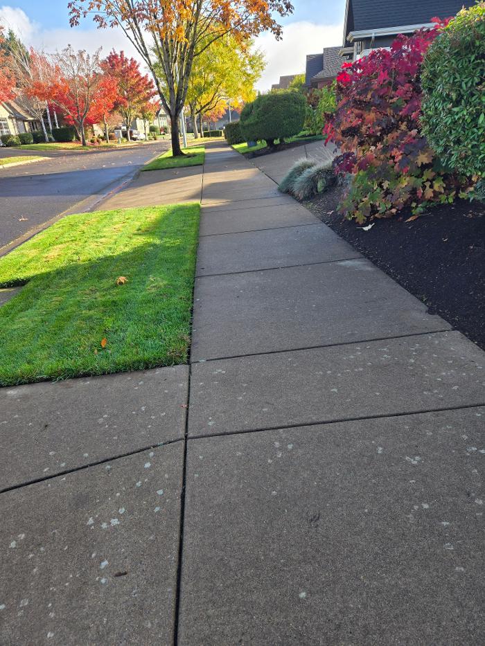 Pro time Hardscapes and construction Image