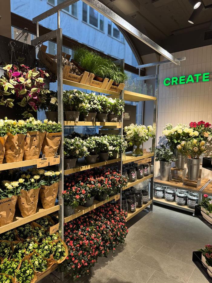 BLUME2000 Basel, Hutgasse in Basel