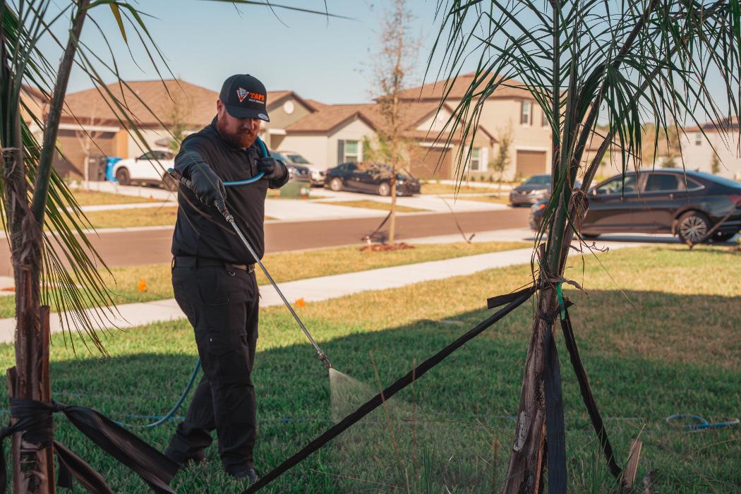 Taps Pest Services - Riverview, FL