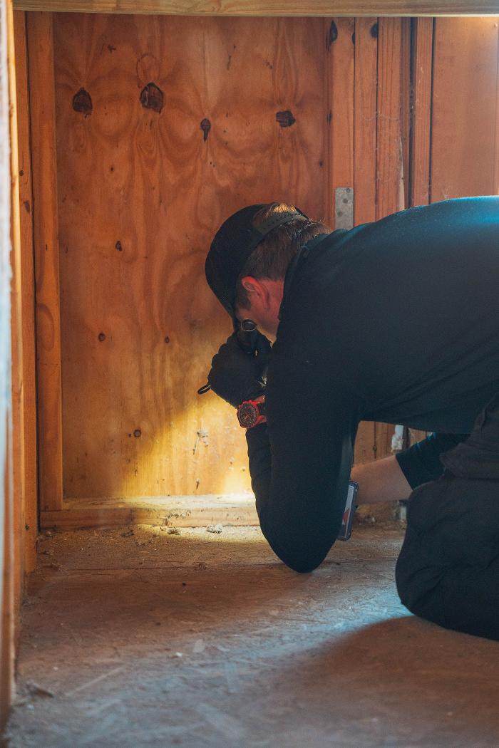 Taps Pest Services - Riverview, FL