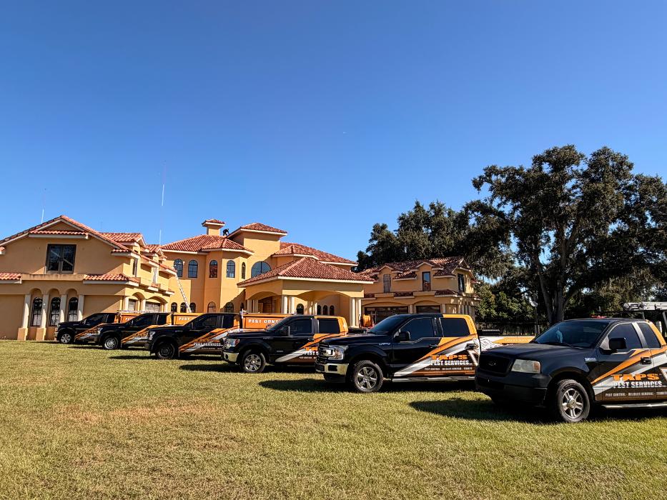 Taps Pest Services - Riverview, FL