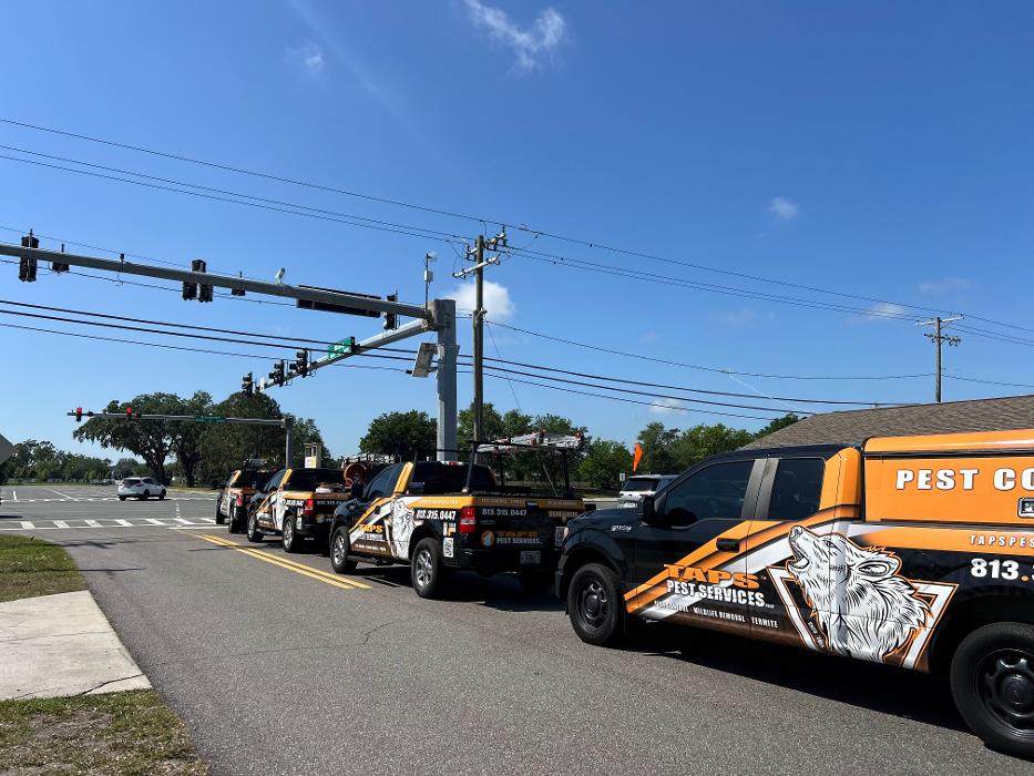 Taps Pest Services - Riverview, FL