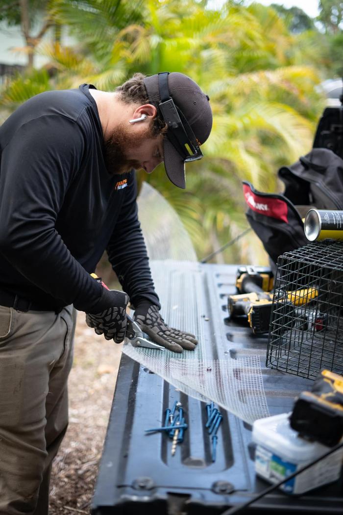 Taps Pest Services - Riverview, FL