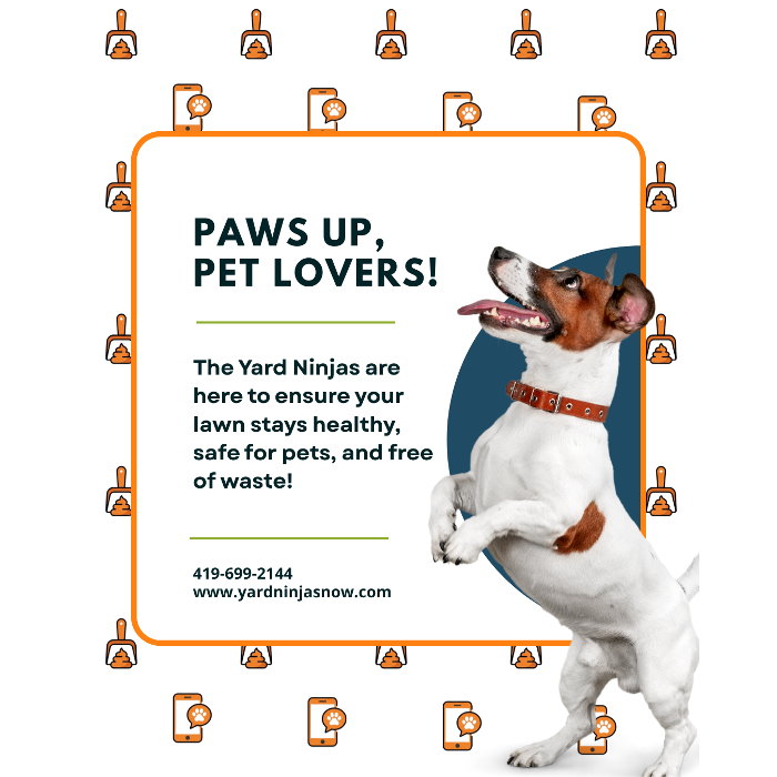 From "danger zone" to "play zone." Professional yard deodorizer treatment and poop scooping for a happy Sylvania family.
