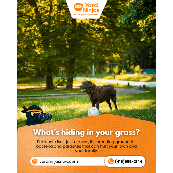 Meet your local Toledo Ninjas! Professional, background-checked, and ready to make your yard "Ninja Clean."