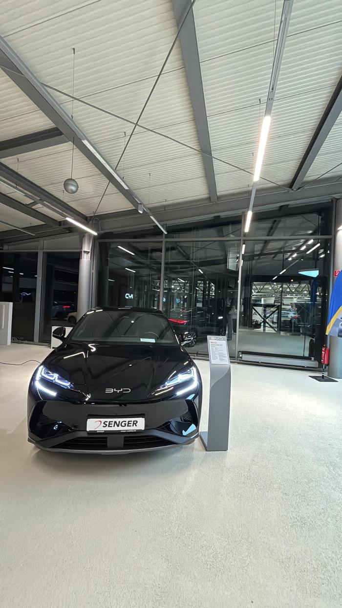 BYD | Senger, Lingener Damm in Rheine