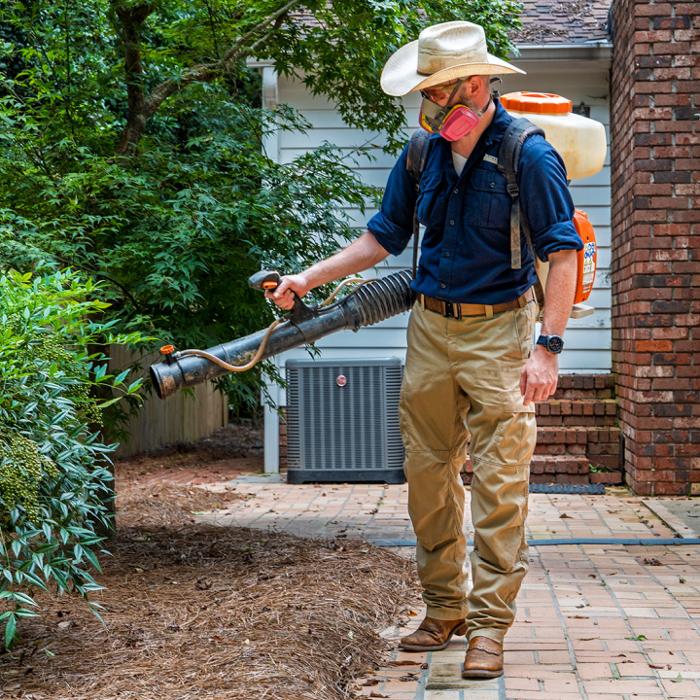 Bizzy Bee Exterminators - Winder, GA