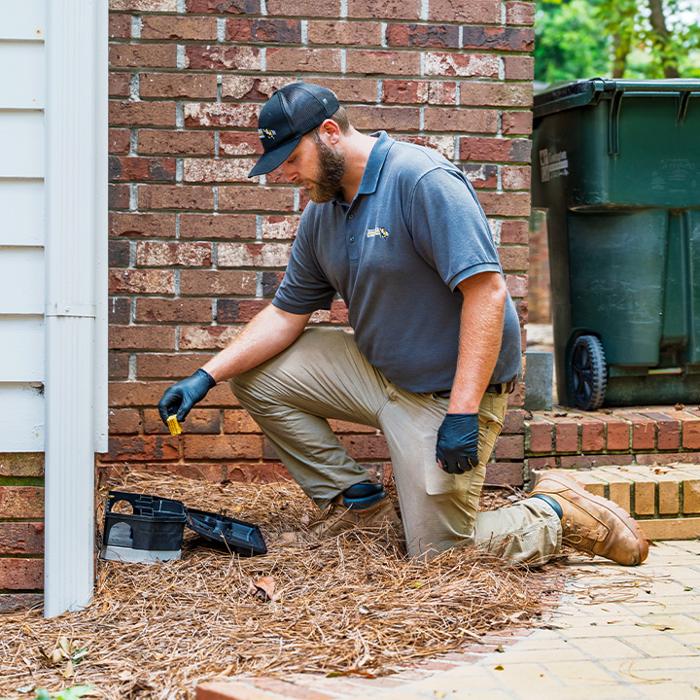 Bizzy Bee Exterminators - Winder, GA