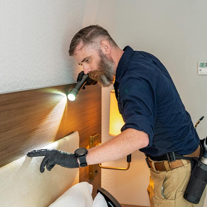 Bizzy Bee Exterminators - Winder, GA