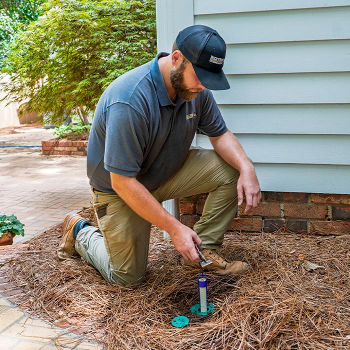 Bizzy Bee Exterminators - Winder, GA