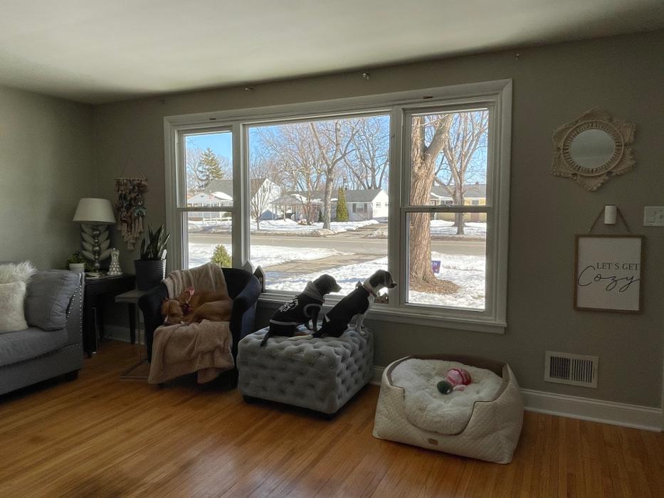 Express Windows Image