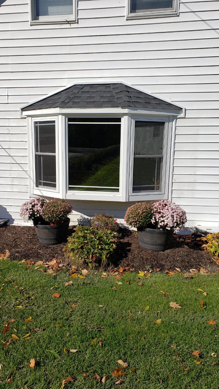 Express Windows Image