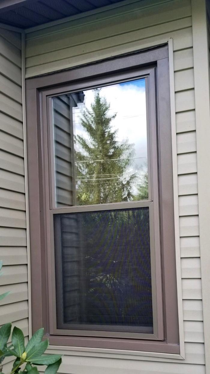 Express Windows Image