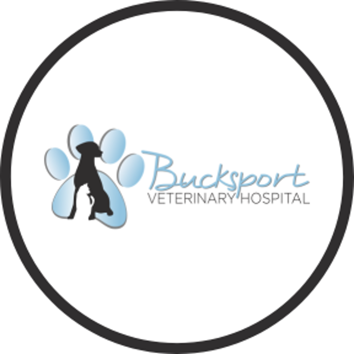Bucksport Veterinary Hospital