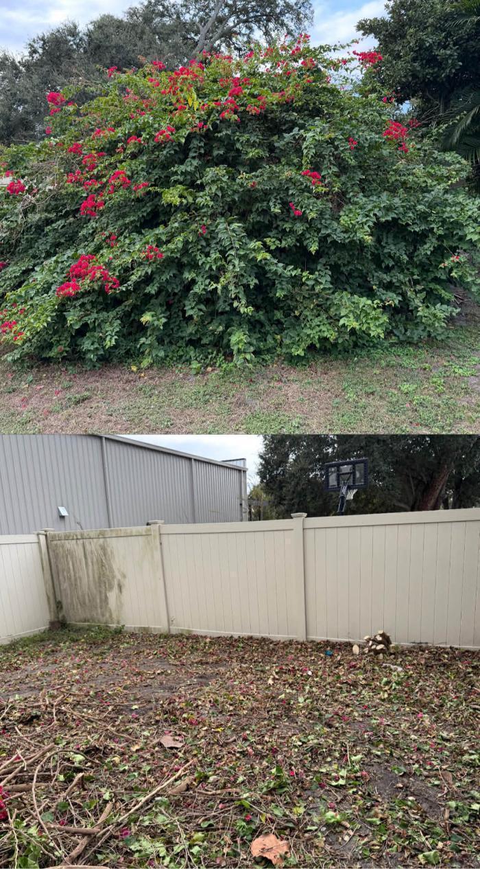 SmoothMove - Oldsmar, FL