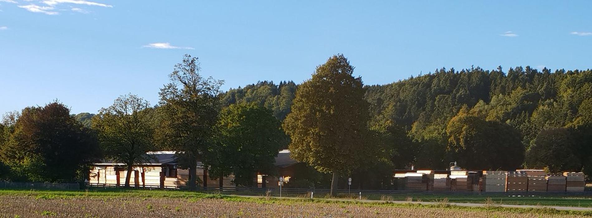 Keplinger Holz Stammham, Lindenallee in Stammham