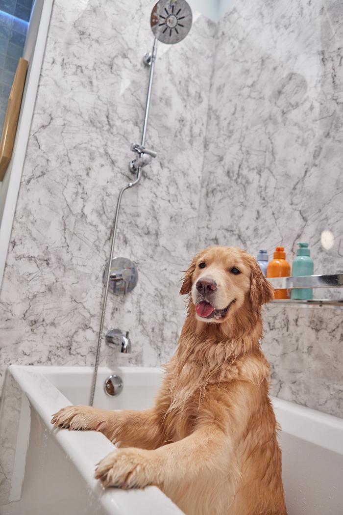 Zintex Remodeling Group Image